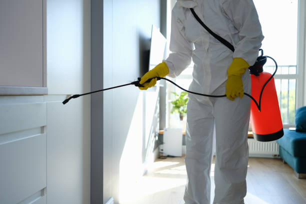 Reliable Rector, AR Mold Removal Solutions